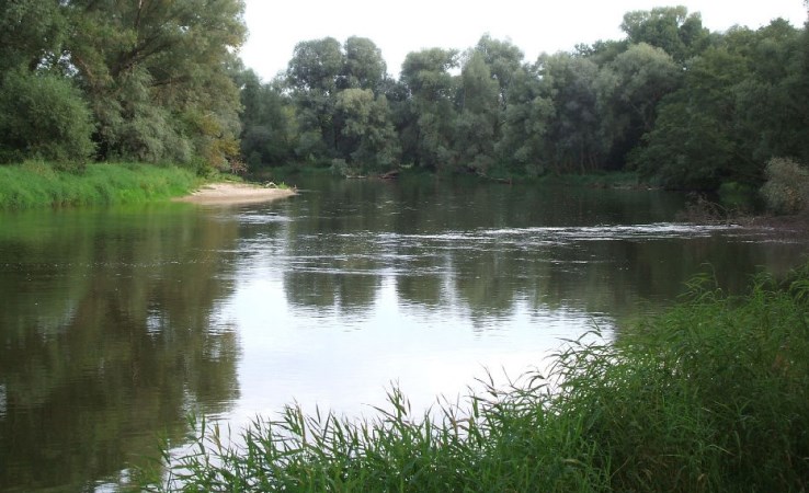 parcel for sale - Kodeń, Okczyn