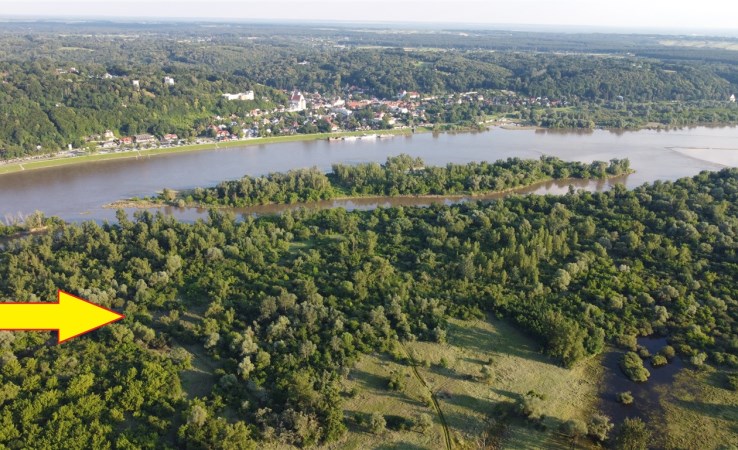 parcel for sale - Janowiec, Wojszyn