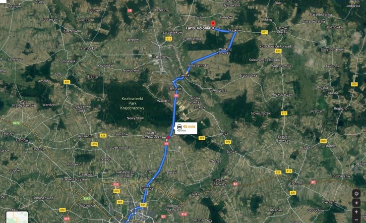 parcel for sale - Niedźwiada, Tarło-Kolonia