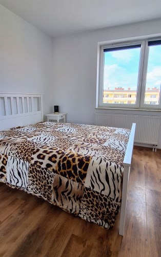 agencja nieruchomości Lublin
