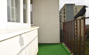 biuro nieruchomości Lublin