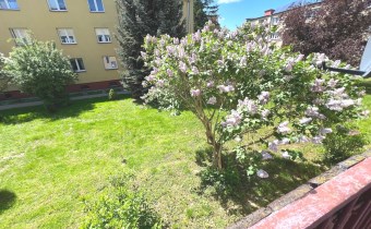 anma Lublin