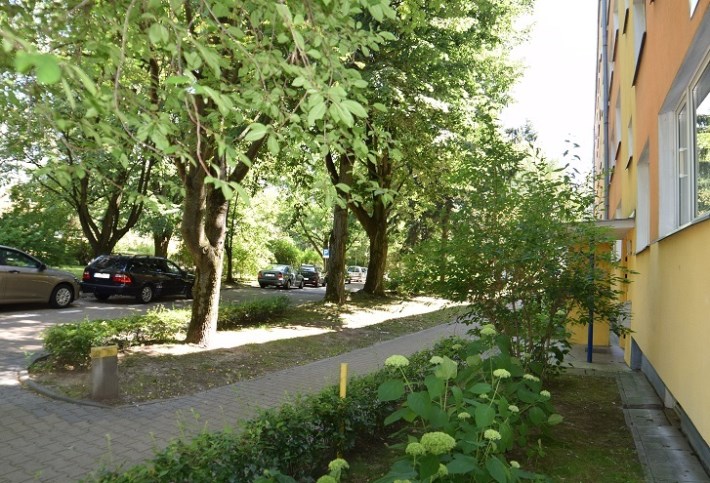 anma Lublin