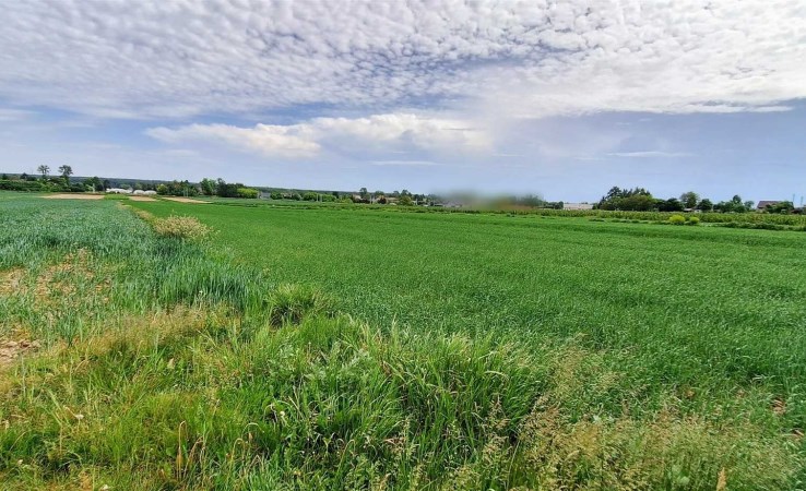 działka na sprzedaż - Lublin, Zemborzyce, Zemborzyce Kościelne