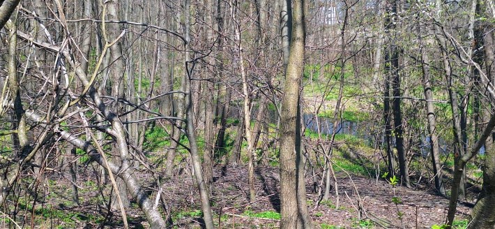 agencja nieruchomości Lublin