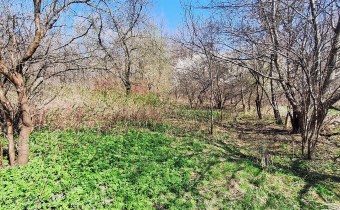 nieruchomości Lublin